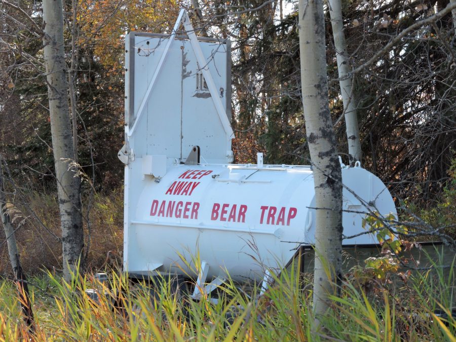 bear trap