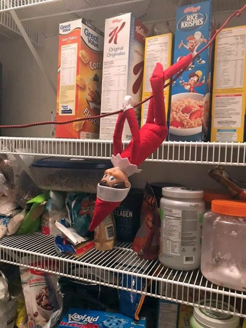 elf on shelf photo