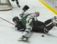 Fans erupt with emotion in defence of their Wolverines during a heated game against the Crusaders